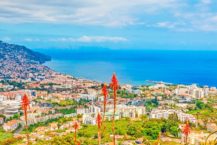 Expats love to live in Funchal Madeira Portugal