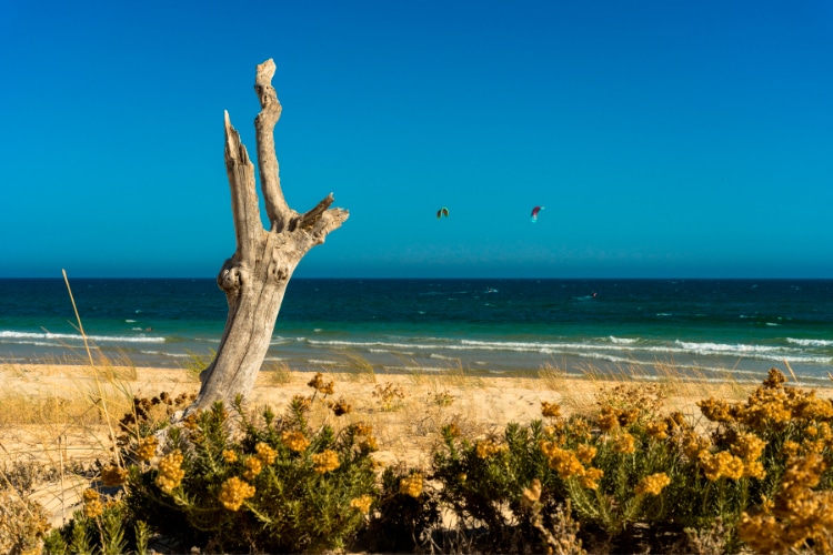 Algarve nude beaches in Portugal