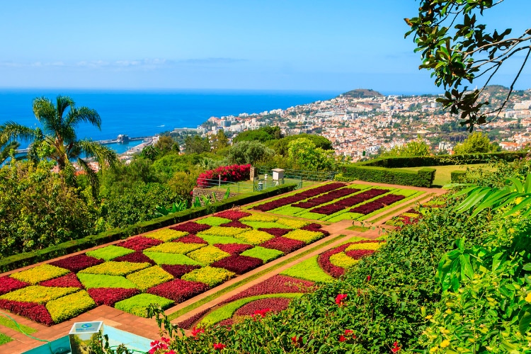 Funchal is the biggest city on the island