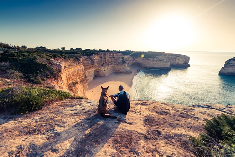 How to take your pet to Portugal what you need to know Viv Europe