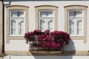 Spring in Portugal