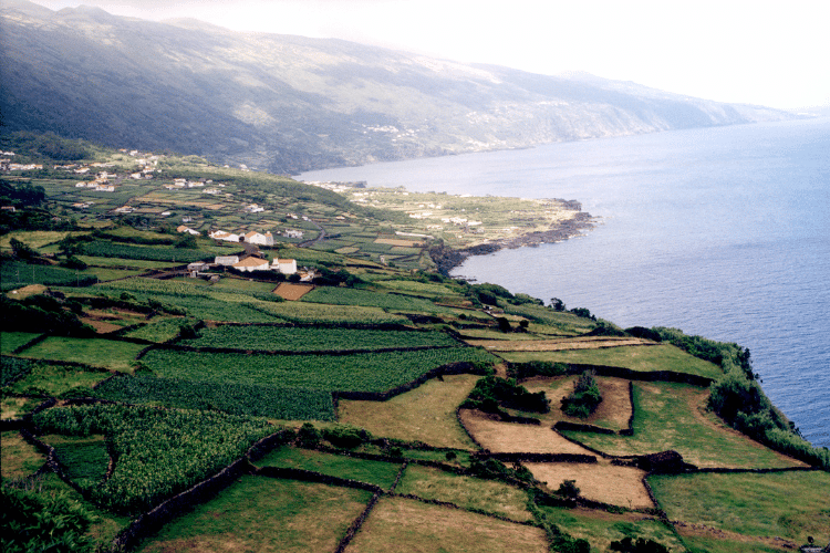 pico-island-on-the-azores