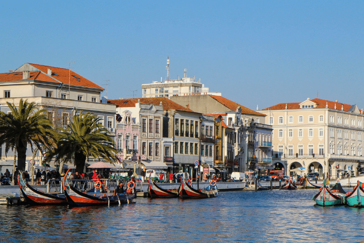 living-in-aveiro