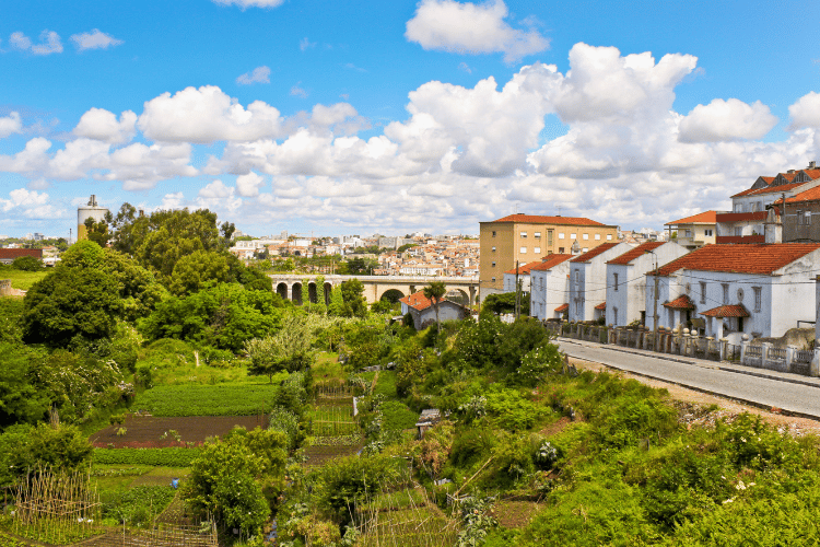 Vila-Nova-de-Gaia-in-the-north-of-Portugal