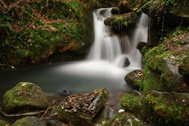 Fraga da Pena