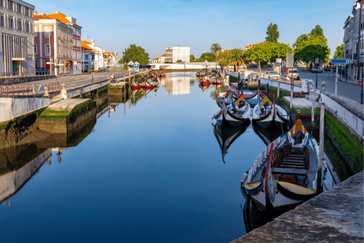 ria-of-aveiro-with-houses-nearby
