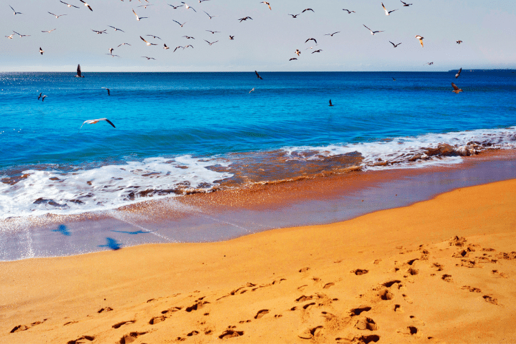 beautiful-beach-in-Portimão