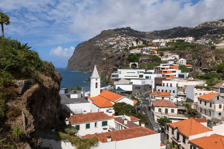 schooling-in-madeira