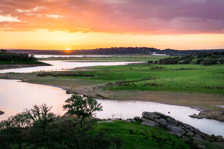 Viver no Alentejo é tendência