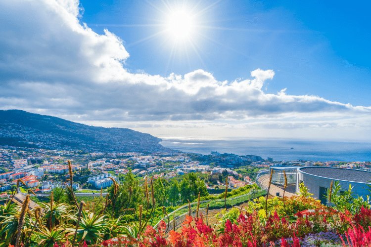 pros-and-cons-of-moving-to-madeira