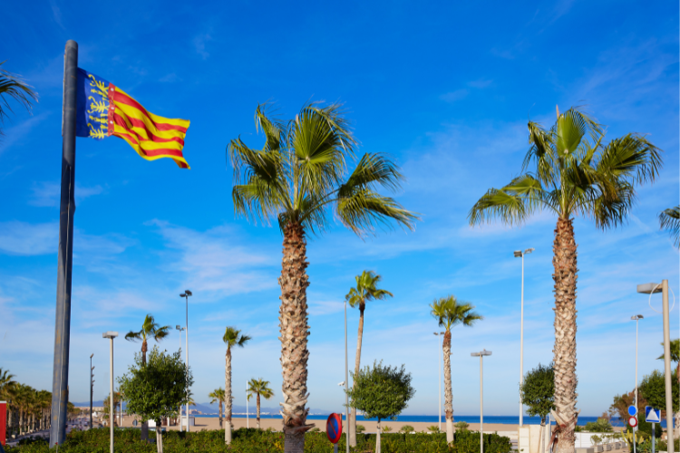 How-much-money-do-you-need-to-live-in-Valencia